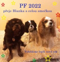 /album/fotogalerie/vanoce-2021-1-jpg/